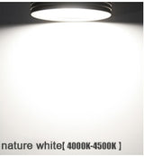 Gold Silver LED Ceiling Downlight Spot light Recessed Cabinet 3W 5W 7W Pure White Warm White More Safty