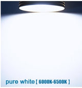 Gold Silver LED Ceiling Downlight Spot light Recessed Cabinet 3W 5W 7W Pure White Warm White More Safty