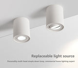 Dimmable Rotating 360° LED Downlights 10W 30W COB LED Ceiling Spot Lights GU10 Light Source LED Background Lamps Indoor Lighting