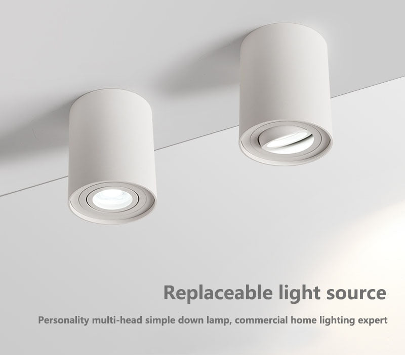 Dimmable Rotating 360° LED Downlights 10W 30W COB LED Ceiling Spot Lights GU10 Light Source LED Background Lamps Indoor Lighting