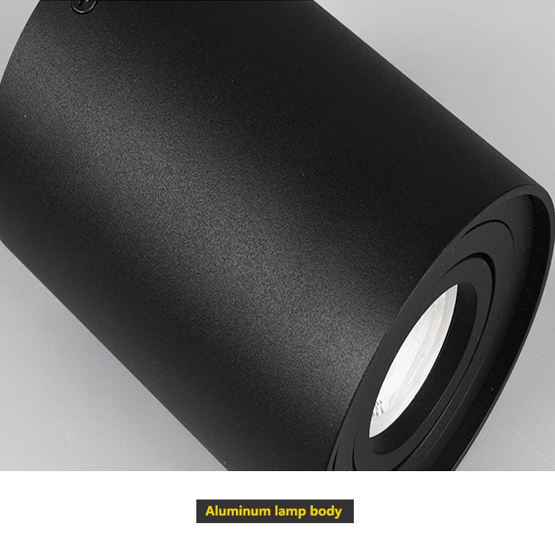 Dimmable Rotating 360° LED Downlights 10W 30W COB LED Ceiling Spot Lights GU10 Light Source LED Background Lamps Indoor Lighting