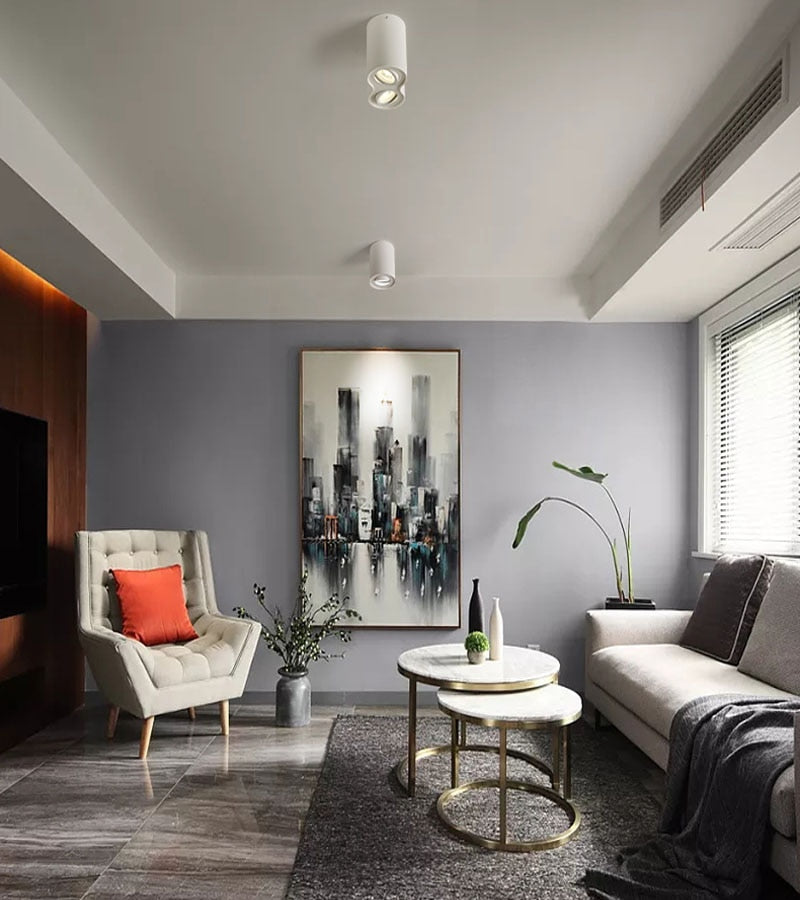 Dimmable Rotating 360° LED Downlights 10W 30W COB LED Ceiling Spot Lights GU10 Light Source LED Background Lamps Indoor Lighting