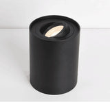 Dimmable Rotating 360° LED Downlights 10W 30W COB LED Ceiling Spot Lights GU10 Light Source LED Background Lamps Indoor Lighting