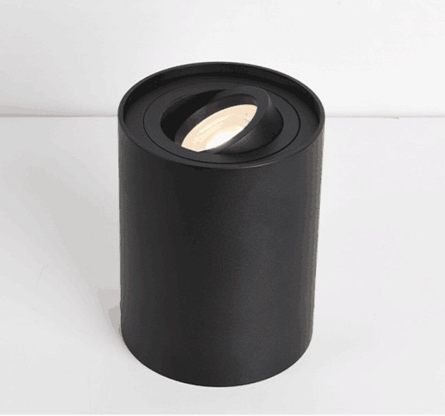 Dimmable Rotating 360° LED Downlights 10W 30W COB LED Ceiling Spot Lights GU10 Light Source LED Background Lamps Indoor Lighting