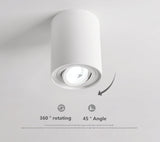 Dimmable Rotating 360° LED Downlights 10W 30W COB LED Ceiling Spot Lights GU10 Light Source LED Background Lamps Indoor Lighting
