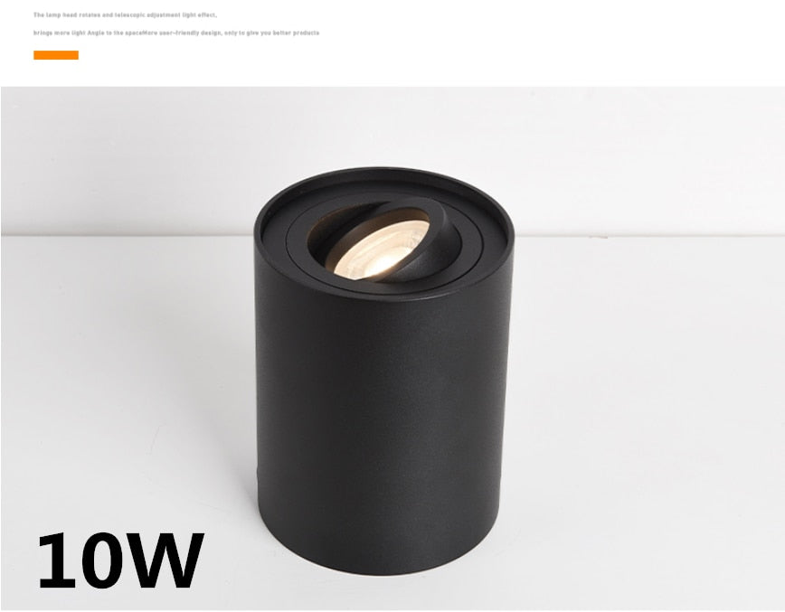 Dimmable Rotating 360° LED Downlights 10W 30W COB LED Ceiling Spot Lights GU10 Light Source LED Background Lamps Indoor Lighting