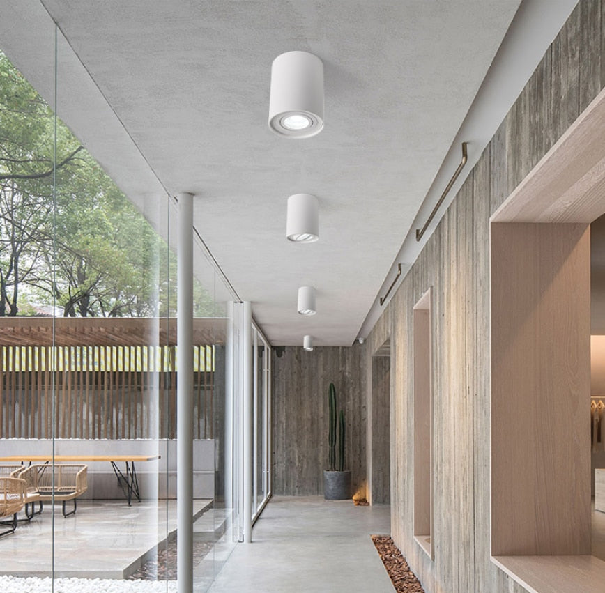 Dimmable Rotating 360° LED Downlights 10W 30W COB LED Ceiling Spot Lights GU10 Light Source LED Background Lamps Indoor Lighting