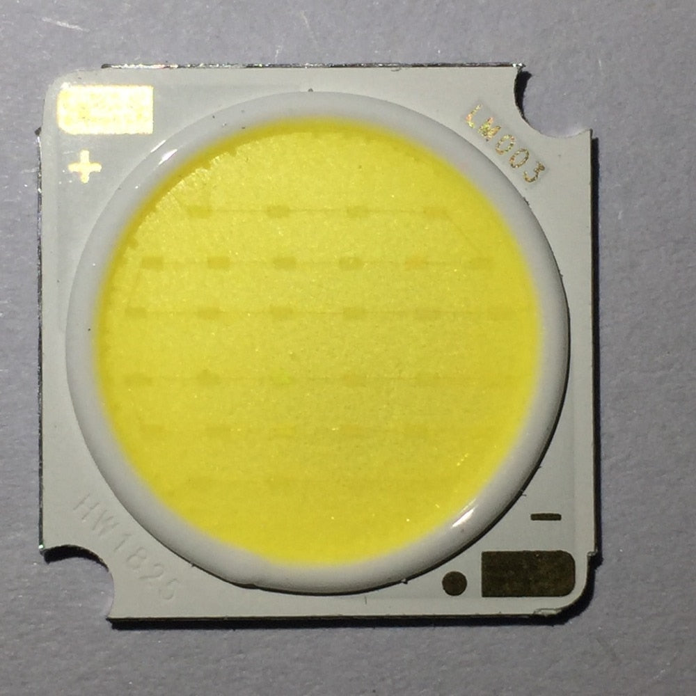 20PCS 19MM COB 16C2B 48V-54.4 170MA-300MA 16W RA CRI 80 led Wall Lamps Headlamps Spotlights Ceiling Lights Downlights