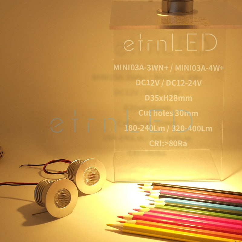 etrnLED 3W 4W Mini Led Spotlight Downlight 12V 24V Jewelry Display Ceiling Recessed Cabinet Spot Lamp with Driver Wire Connector