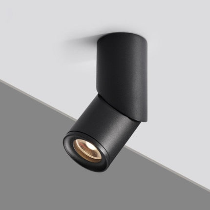 Dimmable Rotating LED Downlights 10W 15W 20W COB LED Ceiling Spot Lights AC110-220V LED Wall Lamp Warm Cold White Indoor Lighting