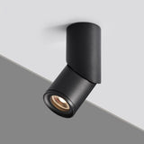 Dimmable Rotating LED Downlights 10W 15W 20W COB LED Ceiling Spot Lights AC110-220V LED Wall Lamp Warm Cold White Indoor Lighting