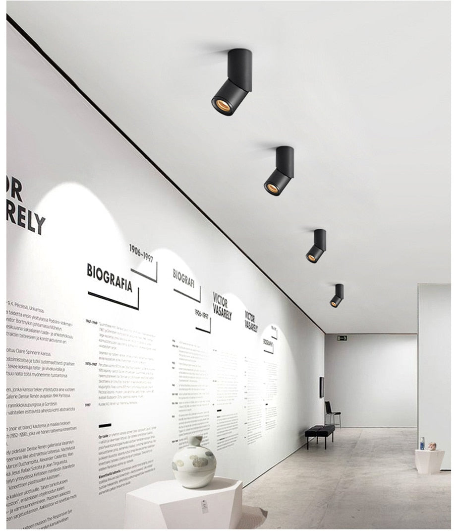 Dimmable Rotating LED Downlights 10W 15W 20W COB LED Ceiling Spot Lights AC110-220V LED Wall Lamp Warm Cold White Indoor Lighting