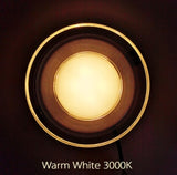 Acrylic LED Downlight 220V 5W 7W 9W 12W 15W RGB Change Recessed LED Panel Light Remote Kitchen living Indoor recessed lighting