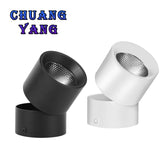 New Foldable Down Light COB Led Spotlight 7W 10W 15W Spot Lights Angle Adjustable Lamp For Home Living Room Shop Indoor Lighting