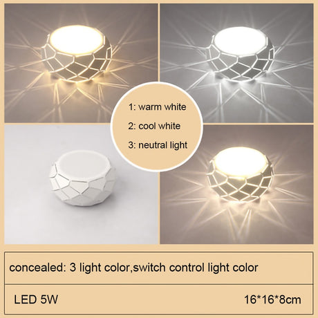 Modern LED Ceiling light Simplicity 5W 12W 3 light color Dimming Switch control cylinder lamp for aisle corridor illumination