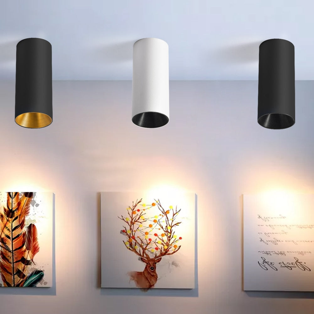 Not Dimmable Long LED COB Surface Mounted Downlight 10W/12W/15W 3000K/4000K/6000K No Cutout Ceiling Spot Light Home Decor