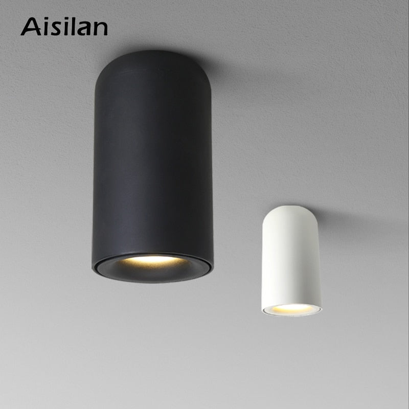 Aisilan Nordic LED Downlight Surface Mounted Ceiling Lamps AC85-260V White/Black Spot light for Living Room Bedroom Hallway