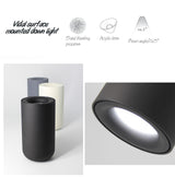 Aisilan Nordic LED Downlight Surface Mounted Ceiling Lamps AC85-260V White/Black Spot light for Living Room Bedroom Hallway