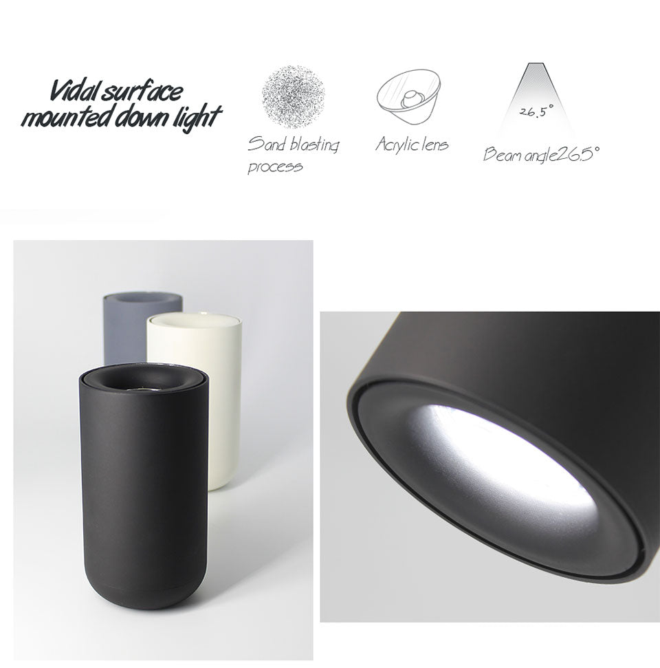 Aisilan Nordic LED Downlight Surface Mounted Ceiling Lamps AC85-260V White/Black Spot light for Living Room Bedroom Hallway