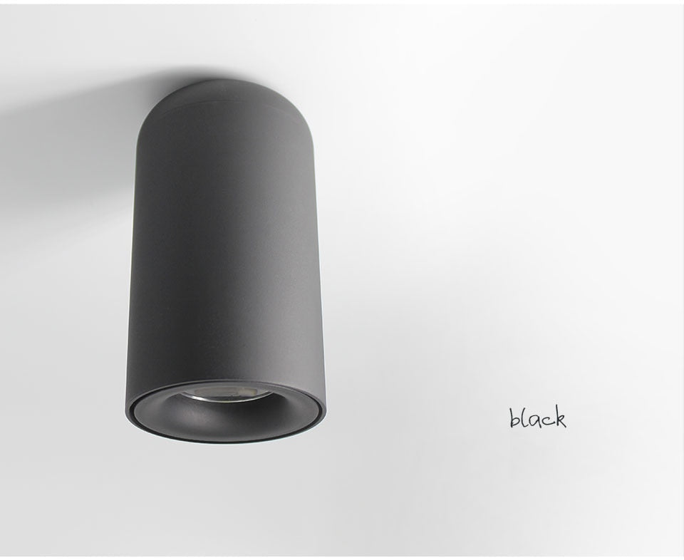 Aisilan Nordic LED Downlight Surface Mounted Ceiling Lamps AC85-260V White/Black Spot light for Living Room Bedroom Hallway