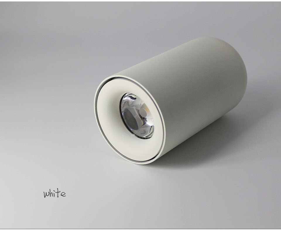 Aisilan Nordic LED Downlight Surface Mounted Ceiling Lamps AC85-260V White/Black Spot light for Living Room Bedroom Hallway