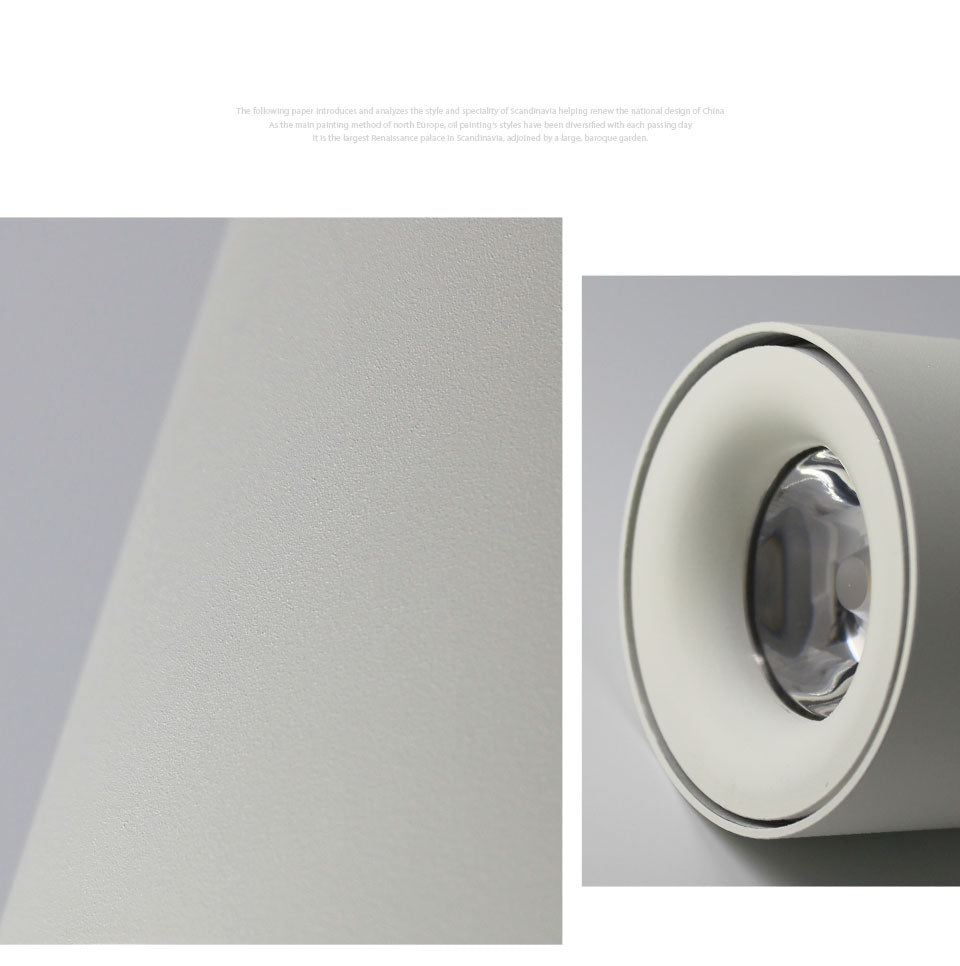 Aisilan Nordic LED Downlight Surface Mounted Ceiling Lamps AC85-260V White/Black Spot light for Living Room Bedroom Hallway