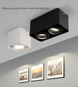 Super Brightness AC 85-230V Square Surface Mounted LED COB Dimmable Downlights 10W 15W 2X10W 2X15W LED Ceiling Lamp Spot Light