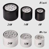 Dimmable led spot 6W 10W 14W 18W 24W downlight High Power LED Ceiling Spot Light Kitchen Bathroom LED Downlights AC85-265V