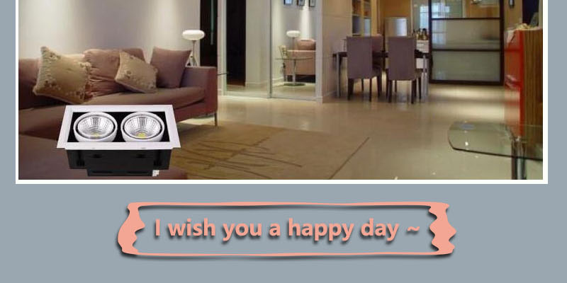 Double Dimmable Led downlight Spot Light 10w 20W 30W ac85-240V ceiling recessed Lights Indoor Lighting