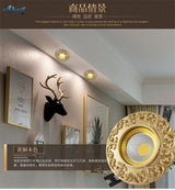 Copper European Downlight Household Spotlights Led Ceiling Living Room Lights Cob Bulb Embedded Bull Eye Lamps Hole Lighting