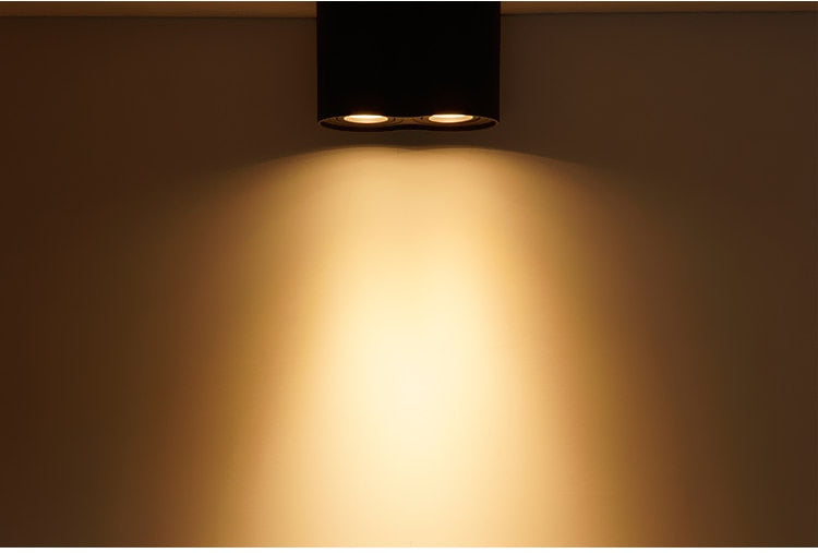 Ceiling LED Adjustable Spot Lights With 5W 10W GU10 Dimmable Bulbs Surface Mount Spotlight For Living Room Kitchen 230V Fixtures