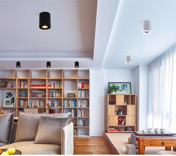 Ceiling LED Adjustable Spot Lights With 5W 10W GU10 Dimmable Bulbs Surface Mount Spotlight For Living Room Kitchen 230V Fixtures