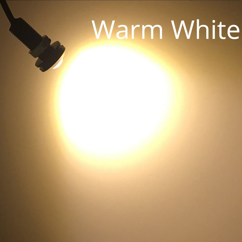 DC 12V Eagle Eye Led Daytime Running Lights Backup Auto Motor Parking Signal Lamp Waterproof Day Light Bulb White Red Blue