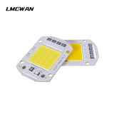 COB LED chip AC 220V 20W 30W 50W smart without driver DIY LED downlight floodlight spotlight chip light outdoor lighting