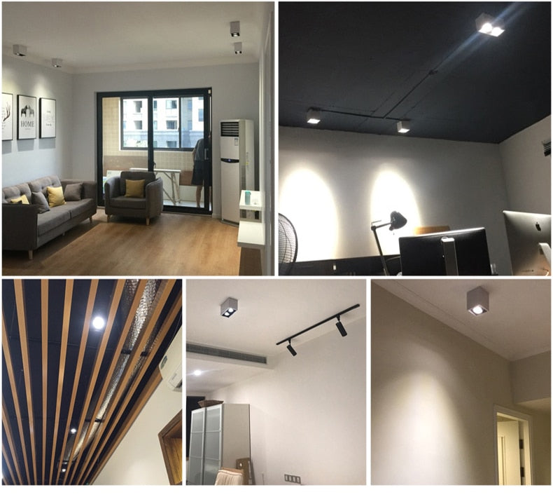 White Black High quality Surface Mounted adjustment LED COB dimmable Downlights ac85-265V 10W 20W LED Ceiling Lamp Spot