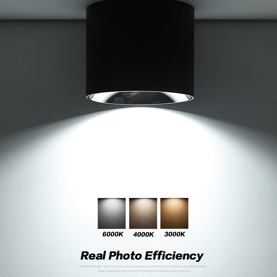 Anti-Glare LED Lightings Surface Mounted LED Downlight Cylinder COB Ceiling Lamps Spot Light 7W 12W 20W for Hotel Home Decor
