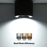 Anti-Glare LED Lightings Surface Mounted LED Downlight Cylinder COB Ceiling Lamps Spot Light 7W 12W 20W for Hotel Home Decor