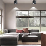 Anti-Glare LED Lightings Surface Mounted LED Downlight Cylinder COB Ceiling Lamps Spot Light 7W 12W 20W for Hotel Home Decor