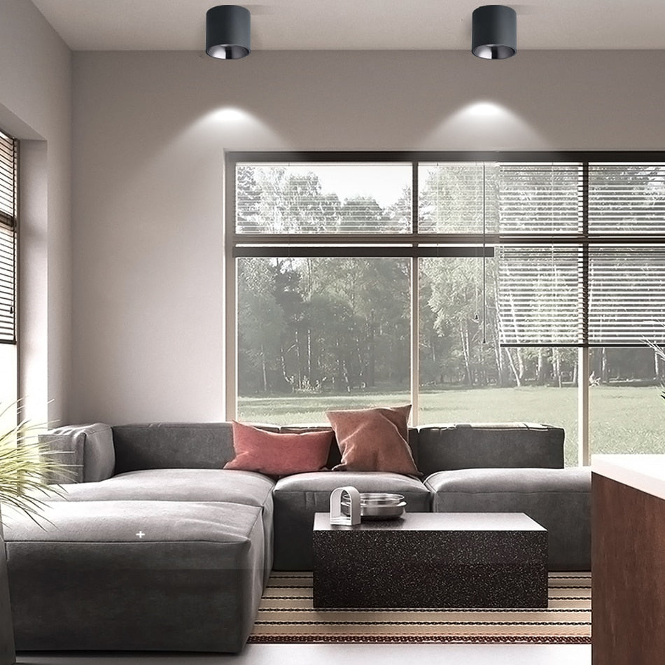 Anti-Glare LED Lightings Surface Mounted LED Downlight Cylinder COB Ceiling Lamps Spot Light 7W 12W 20W for Hotel Home Decor