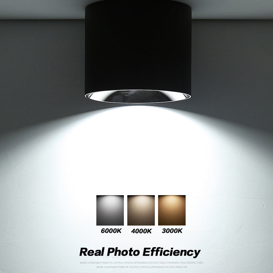 Anti-Glare LED Lightings Surface Mounted LED Downlight Cylinder COB Ceiling Lamps Spot Light 7W 12W 20W for Hotel Home Decor