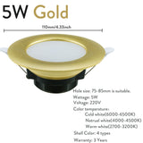 Gold Silver White LED Downlight Fxiture 5W Cool Warm LED Recessed Ceiling Down Light Lamps Decor Lighting AC 220V Replace 45W