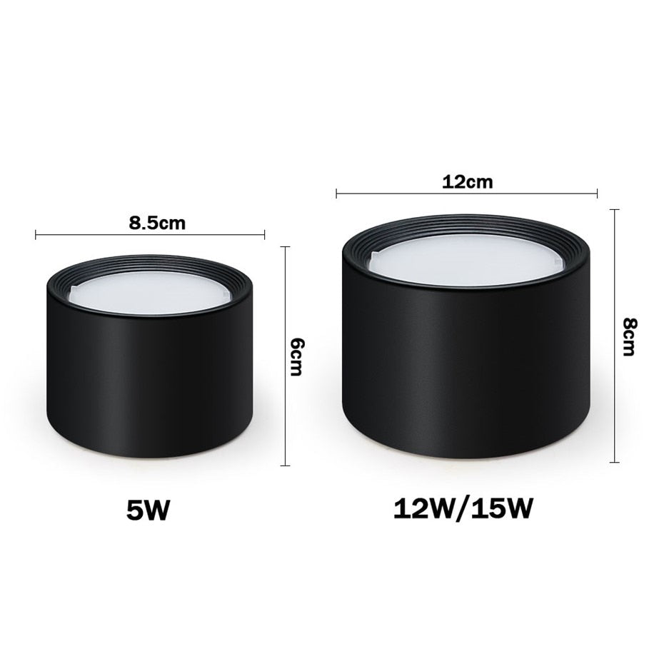 LED Downlight Modern Ceiling Lamp Surface Mounted Spot Led 5W 12W 15W led spot lights Bedroom Living Room Ceiling Fixtures Light