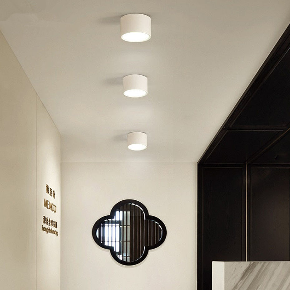 LED Downlight Modern Ceiling Lamp Surface Mounted Spot Led 5W 12W 15W led spot lights Bedroom Living Room Ceiling Fixtures Light