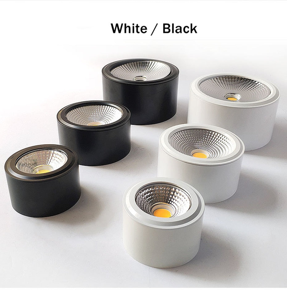 Dimmable Led Downlight Indoor Ceiling Lamp Surface Mounted Industrial Lighting 3w 5w 7w AC110V 220V For Home Bedroom Living Room