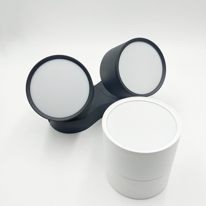 Dimmable Folding Rotating LED Downlight 10W 15W 20W/ 2x10W 2x15W 2x20W High Power Ceiling Spot Light AC85~265V LED Ceiling Lamp