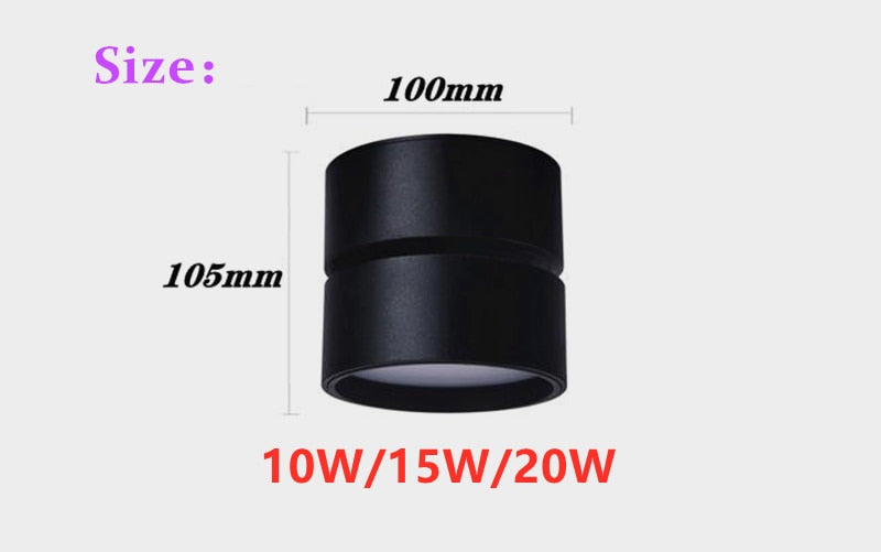 Dimmable Folding Rotating LED Downlight 10W 15W 20W/ 2x10W 2x15W 2x20W High Power Ceiling Spot Light AC85~265V LED Ceiling Lamp