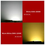 LED Chip 10W 20W 30W 50W 220V 110V COB Lamp Beads Smart IC No Need Driver LED Bulb for Flood Light Spotlight Diy Lighting