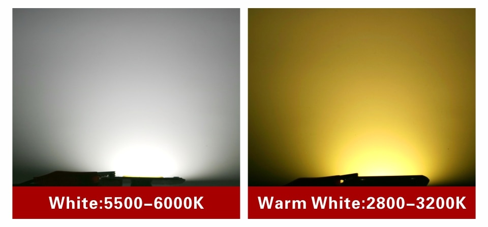 LED Chip 10W 20W 30W 50W 220V 110V COB Lamp Beads Smart IC No Need Driver LED Bulb for Flood Light Spotlight Diy Lighting