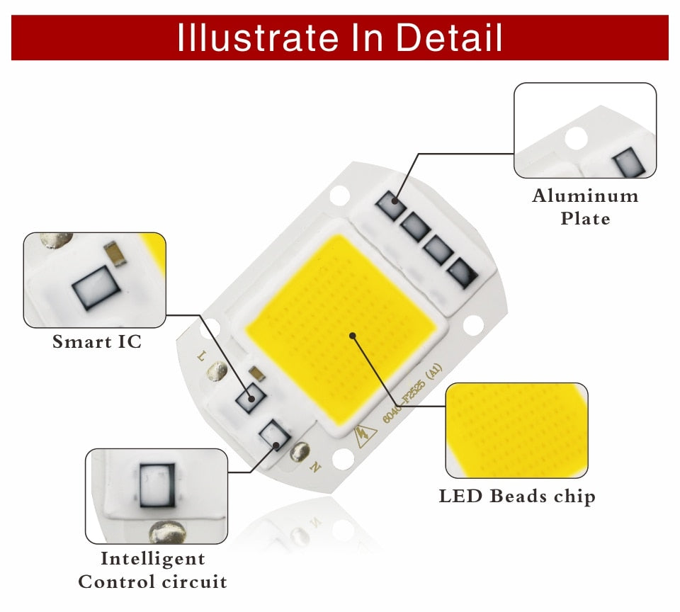 LED Chip 10W 20W 30W 50W 220V 110V COB Lamp Beads Smart IC No Need Driver LED Bulb for Flood Light Spotlight Diy Lighting
