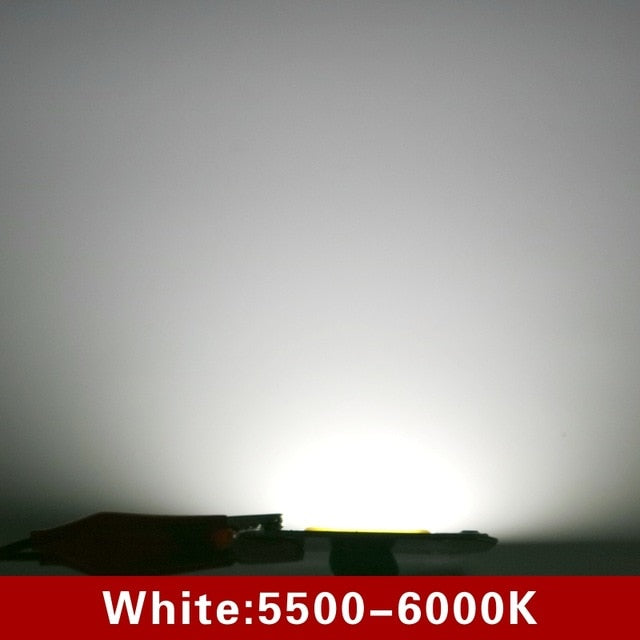 LED Chip 10W 20W 30W 50W 220V 110V COB Lamp Beads Smart IC No Need Driver LED Bulb for Flood Light Spotlight Diy Lighting